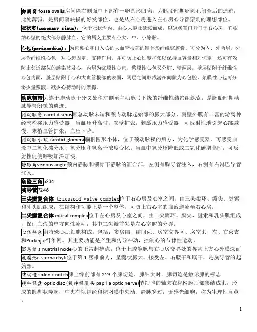 系统解剖学名词解释