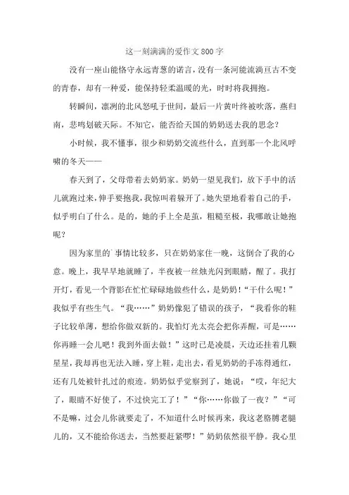 这一刻满满的爱作文800字