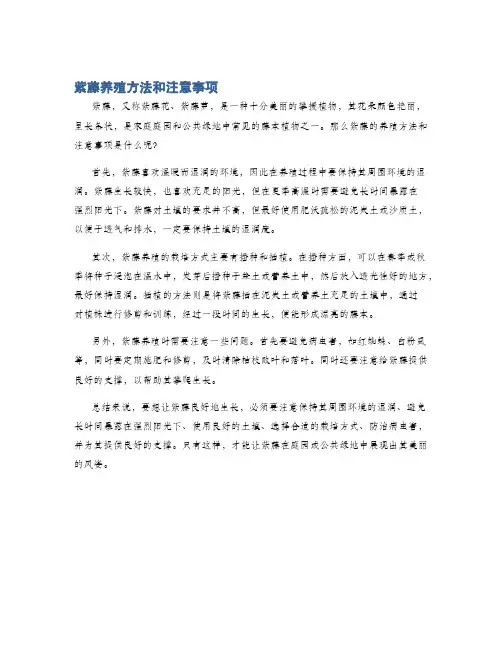 紫藤养殖方法和注意事项