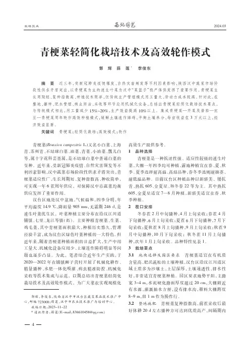 青梗菜轻简化栽培技术及高效轮作模式