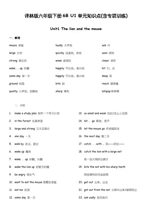 六年级下册英语试题 知识点- Unit1 The lion and the mouse 含听力材料 