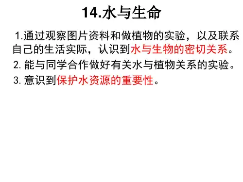 14水与生命