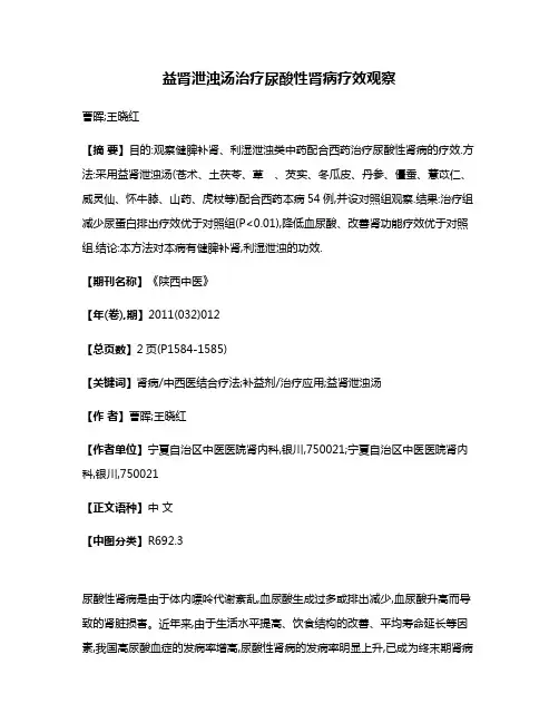 益肾泄浊汤治疗尿酸性肾病疗效观察