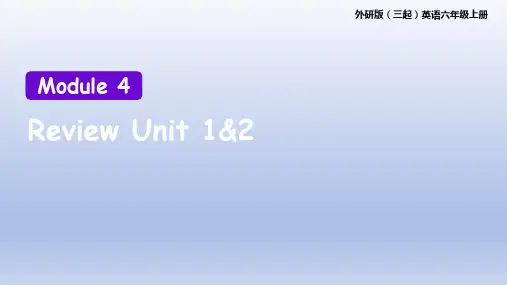 2023-2024学年外研版(三起)英语六年级上册 Module 4 Review 精品课件(六上)