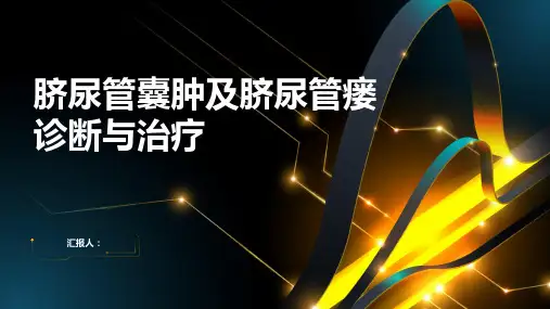 脐尿管囊肿及脐尿管瘘诊断与治疗PPT