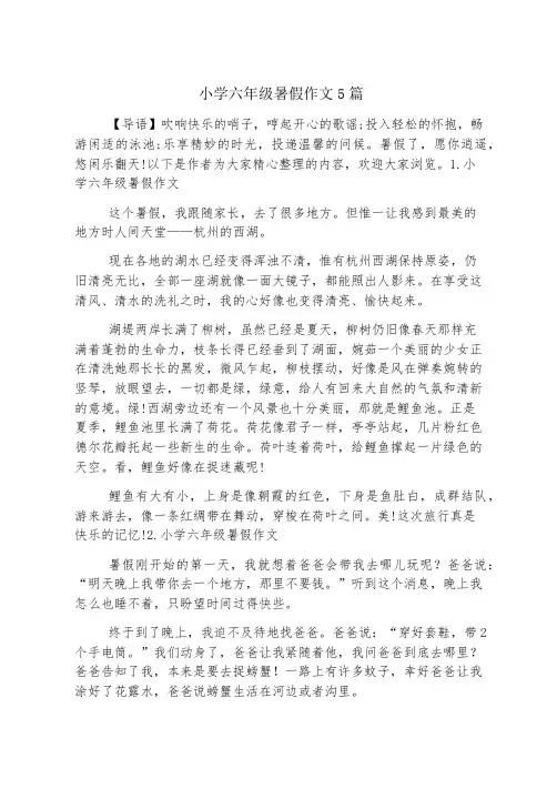 小学六年级暑假作文5篇