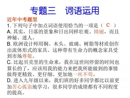 九年级语文上册专题复习专题三词语运用课件新人教版