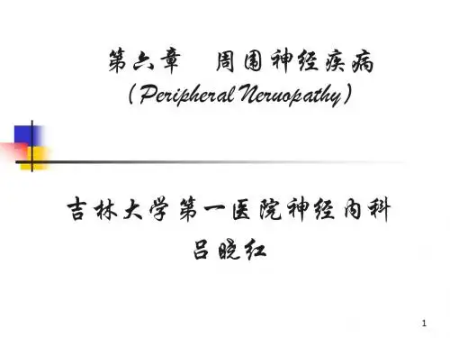 周围神经疾病PPT课件