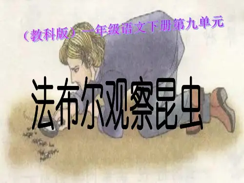 法布尔观察昆虫(课堂PPT)