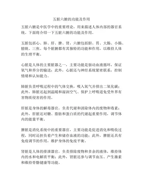 五脏六腑的功能及作用