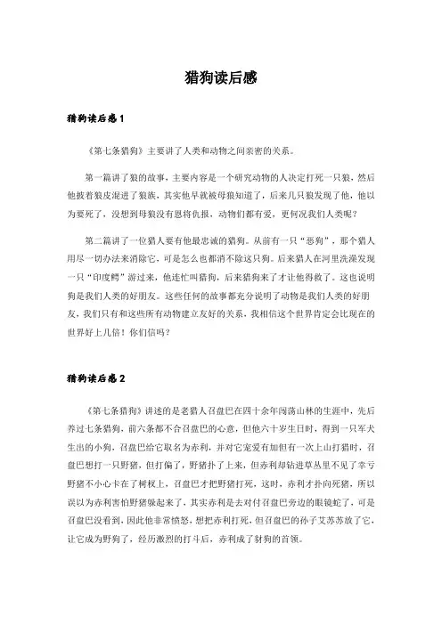  猎狗读后感