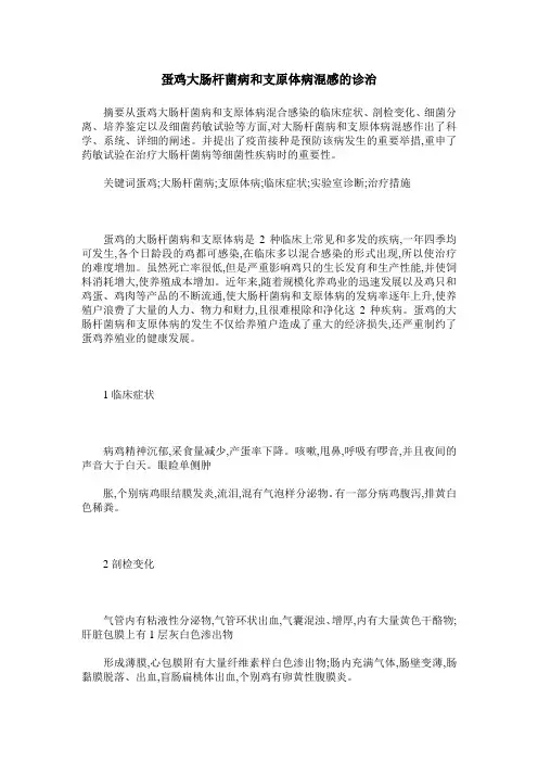 蛋鸡大肠杆菌病和支原体病混感的诊治