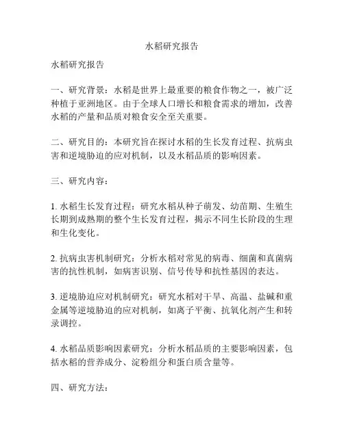 水稻研究报告