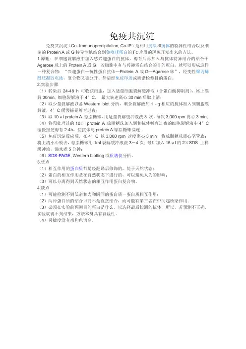 免疫共沉淀
