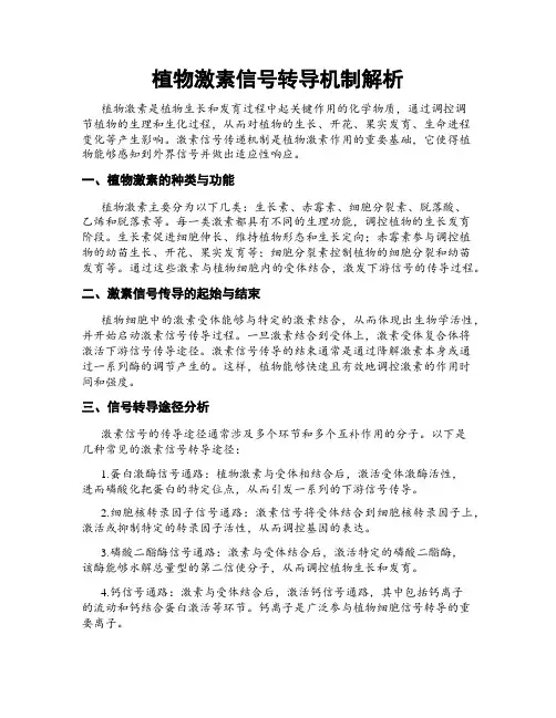 植物激素信号转导机制解析