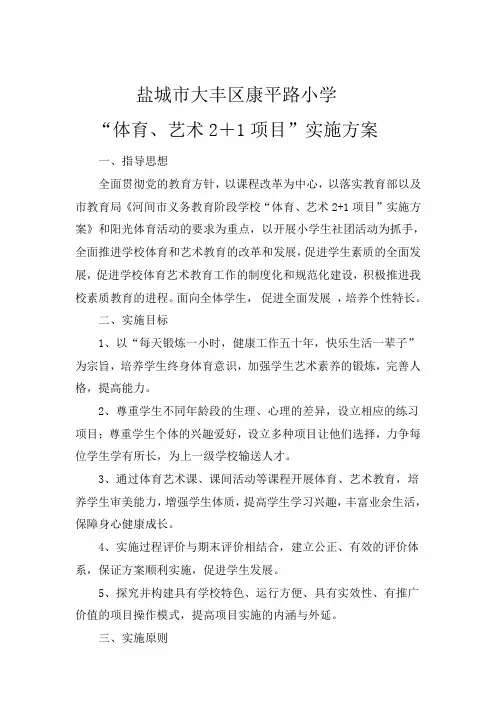 体育、艺术2+1活动方案word版本