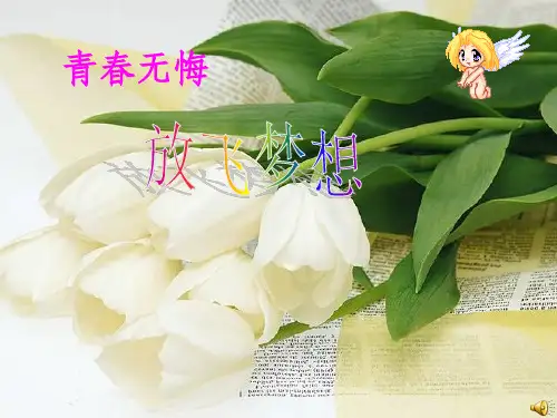 七年级放飞梦想主题班会