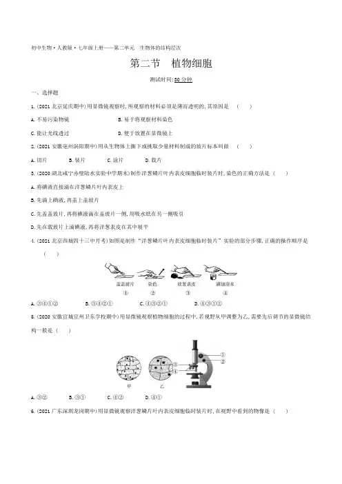 2022人教版初中生物七年级上册练习题--第二节 植物细胞
