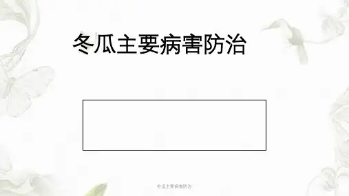 冬瓜主要病害防治ppt课件