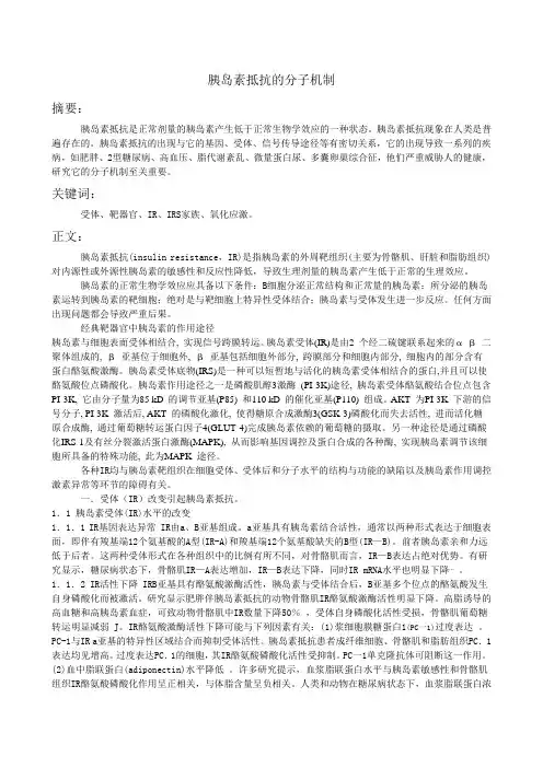 胰岛素抵抗的分子机制