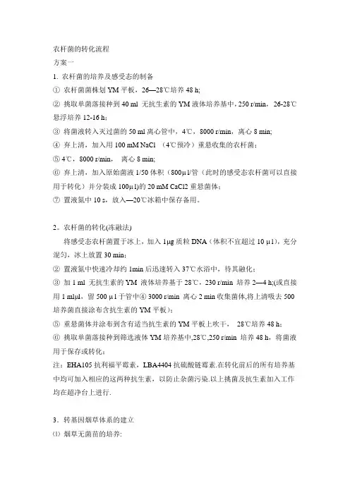 农杆菌的转化流程