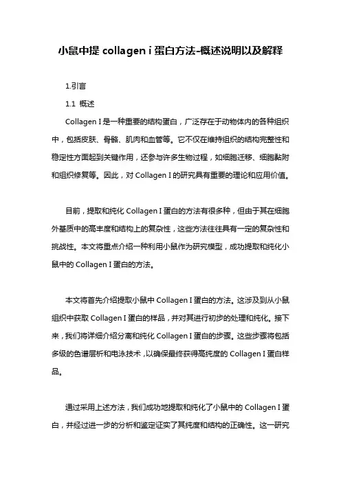 小鼠中提collagen i蛋白方法-概述说明以及解释