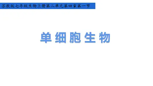 2.4.1  单细胞生物  课件-苏教版生物七年级上册