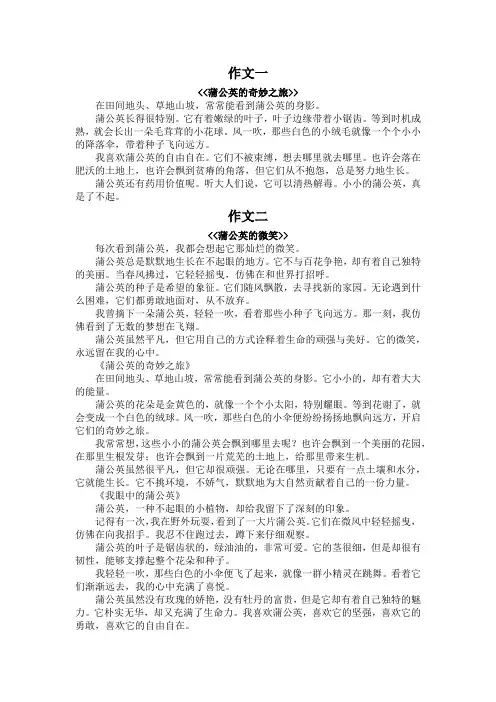写薄公英的作文300字
