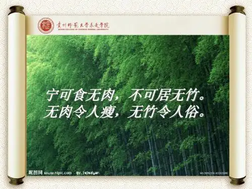 中国写意画竹子课件3