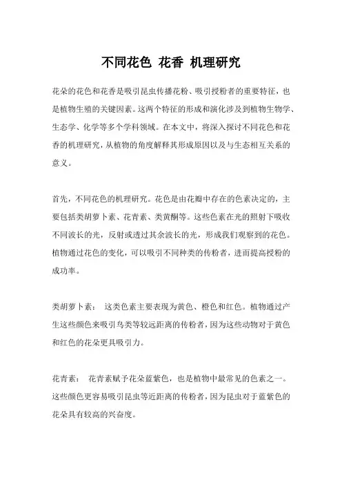 不同花色 花香 机理研究