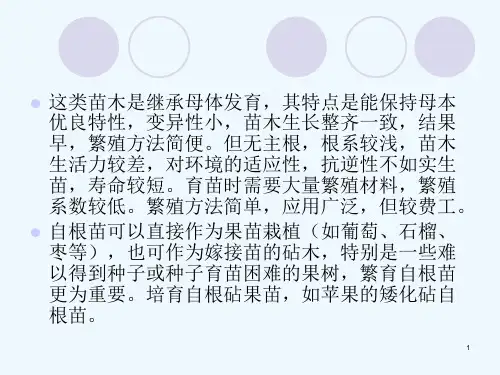 33_自根苗培育ppt课件