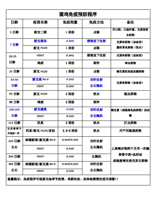 蛋鸡免疫预防程序(永丰禽业)