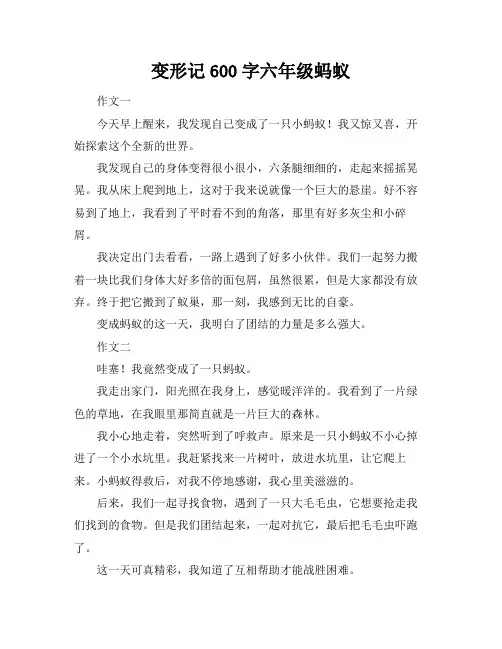 变形记600字六年级蚂蚁