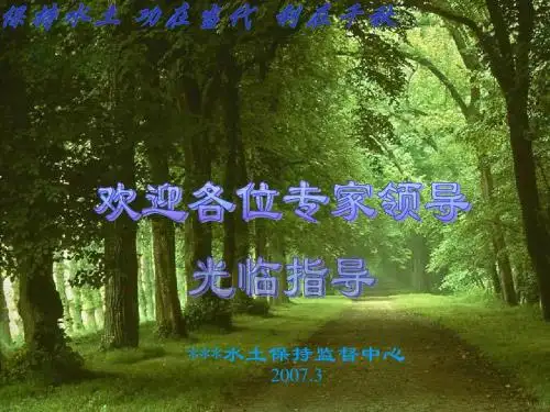 某某水电站工程水土保持方案报告汇报