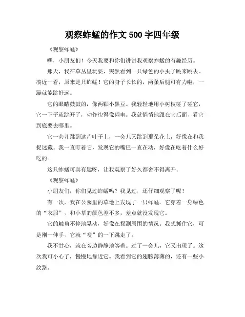 观察蚱蜢的作文500字四年级