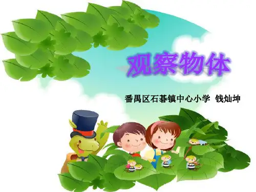二年级下册数学《信息窗(观察物体)》课件(1) 青岛版