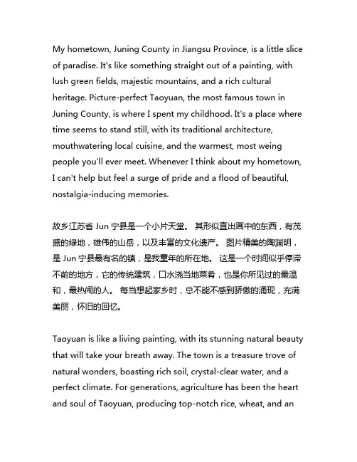 我的家乡在江苏省雎宁县桃园镇作文