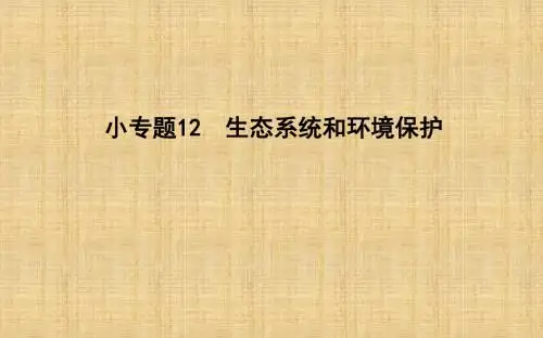 高考生物二轮复习 小专题12 生态系统和环境保护名师课件