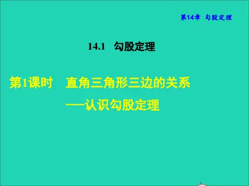 2022秋八年级数学上册第14章勾股定理14.1勾股定理1直角三角形三边的关系__认识勾股定理授课课