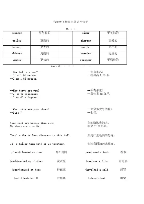 PEP六年级英语下册重点单词和句子汇总