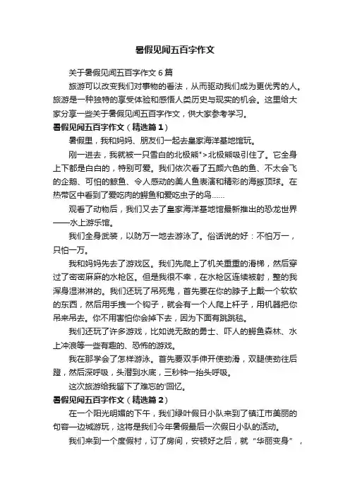 暑假见闻五百字作文