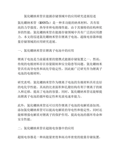 氮化硼纳米管在能源存储领域中的应用研究进展综述
