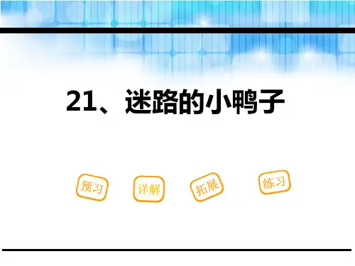 《迷路的小鸭子》PPT