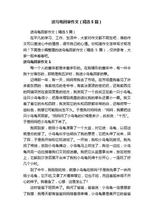 送乌龟回家作文（精选5篇）