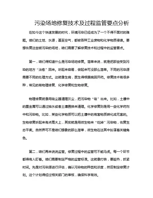 污染场地修复技术及过程监管要点分析