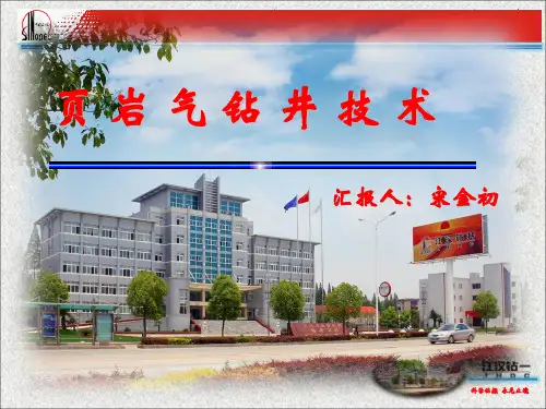 页岩气钻井技术(上)