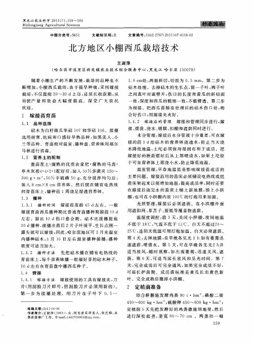 北方地区小棚西瓜栽培技术