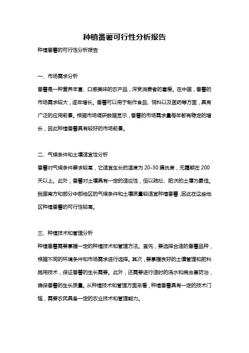 种植番薯可行性分析报告