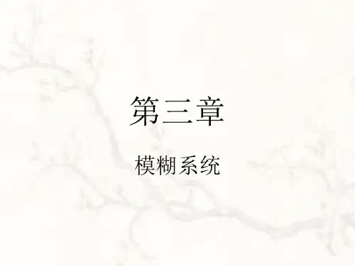 模糊系统
