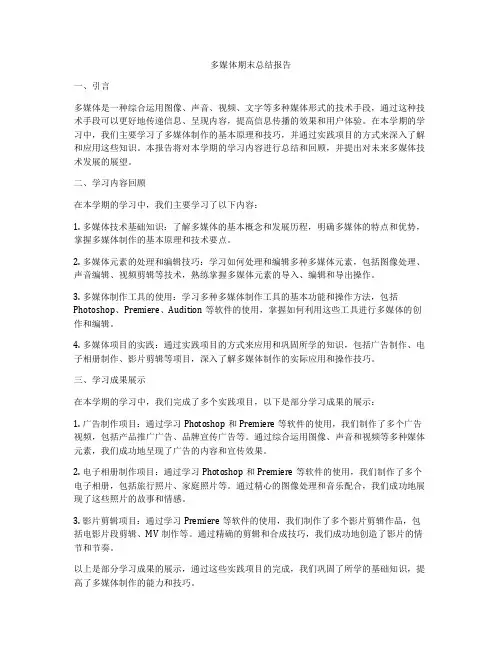 多媒体期末总结报告